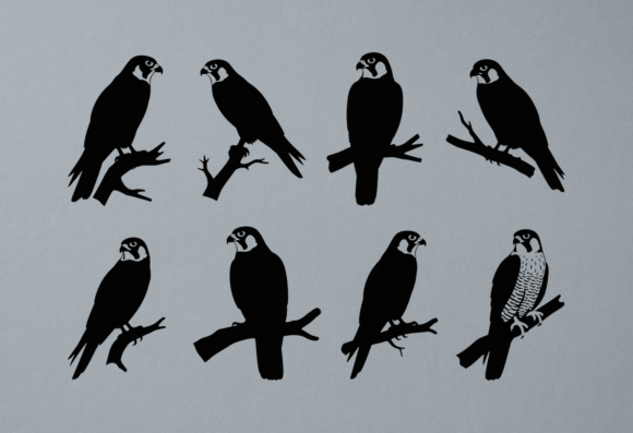 Peregrine Falcon Silhouette SVG Clipart for Real Embroidery Projects